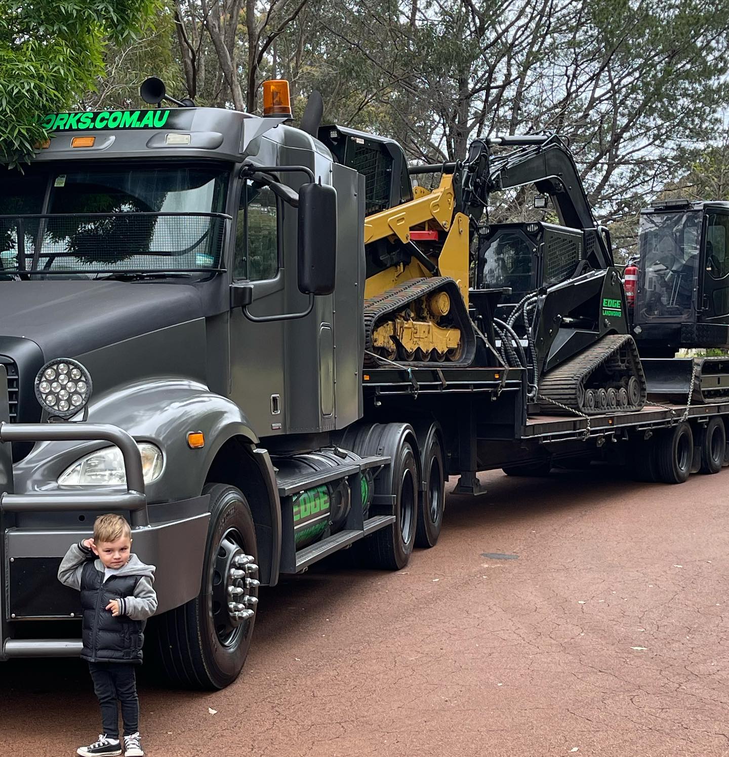 Land cleared with eco-mulching