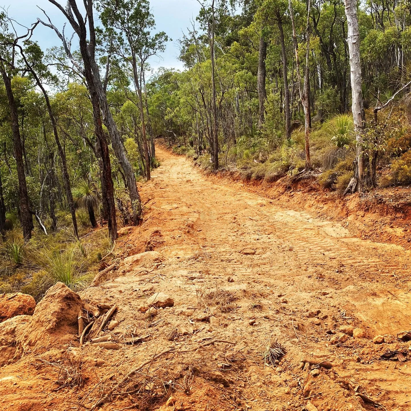 Roadway after clearing works in South West WA bushland