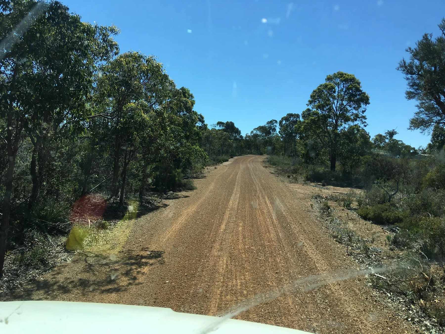 Cleared rural roadway through bushland in South West WA